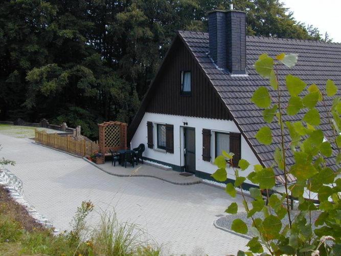 Nice Holiday Home Near Ski Area Medebach Eksteriør billede